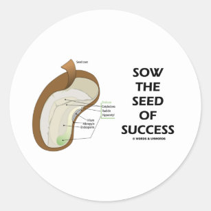 Sow The Seed Of Success (Seed Anatomy Humor) Classic Round Sticker
