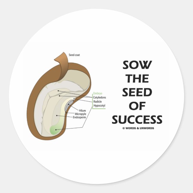 Sow The Seed Of Success (Seed Anatomy Humor) Classic Round Sticker (Front)