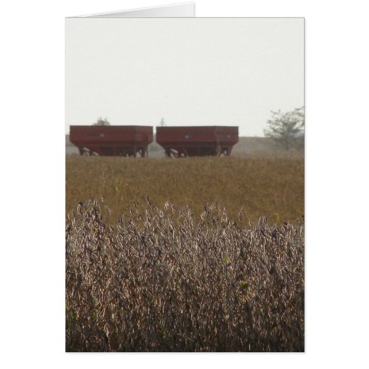 Soybean Harvest Time Cards (Front)