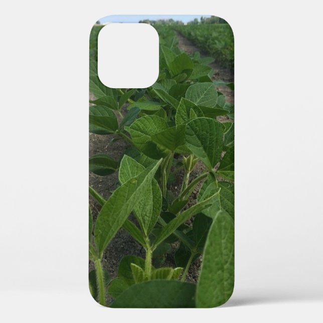 Soybean Rows Farming Agriculture Crops Case-Mate iPhone Case (Back)