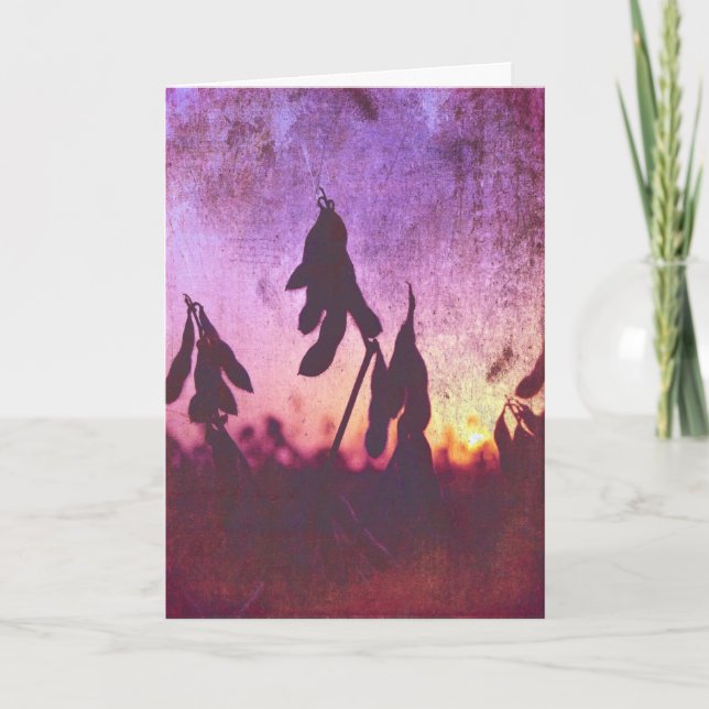 Soybean Sunset Grunge, Birthday Card (Front)
