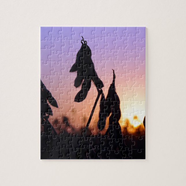 Soybeans at Sunset Jigsaw Puzzle (Vertical)