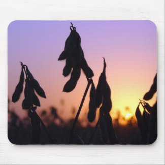 Soybeans at Sunset Mouse Pad