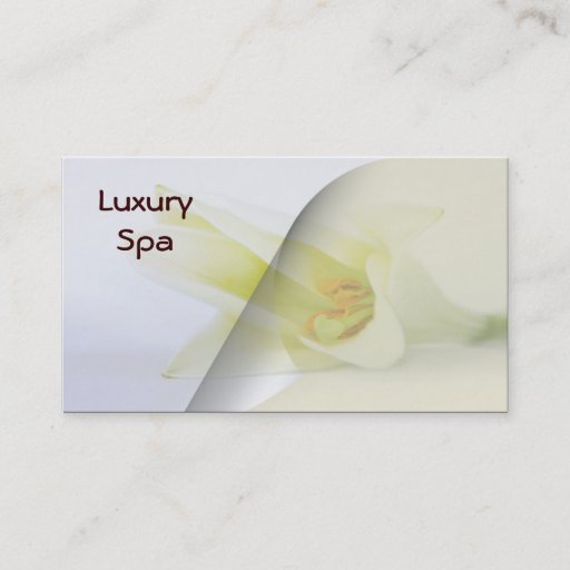 Customizable Spa  businesscards business card templates