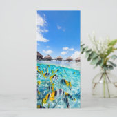 SPA resort (Standing Front)