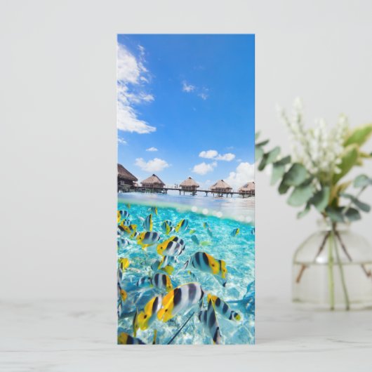 SPA resort (Standing Front)