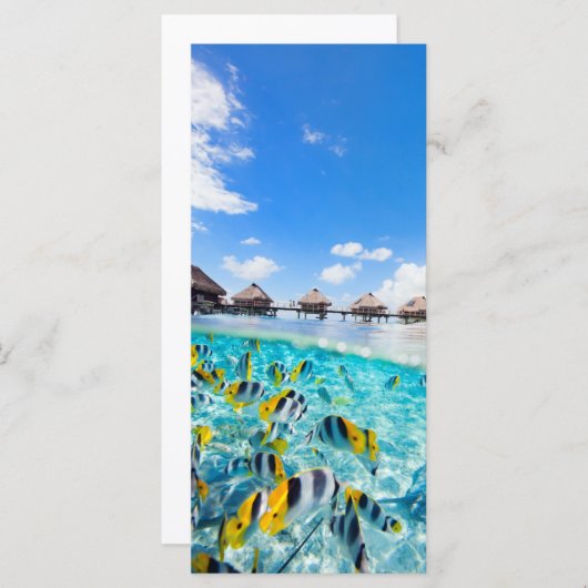 SPA resort (Front/Back)