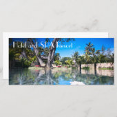 SPA resort (Front/Back)