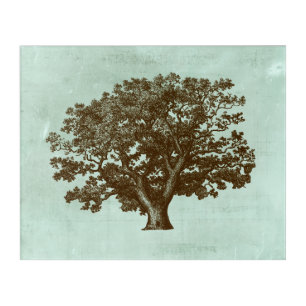 Spa Tree IV Acrylic Print