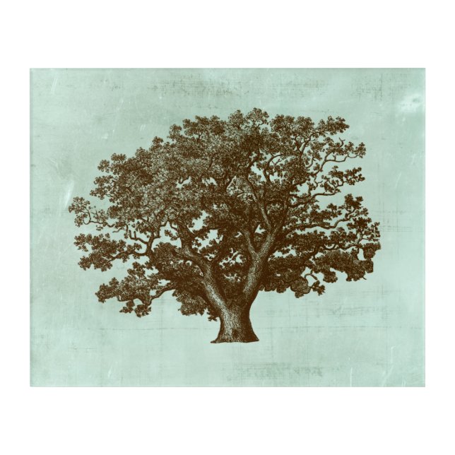 Spa Tree IV Acrylic Print (Front)