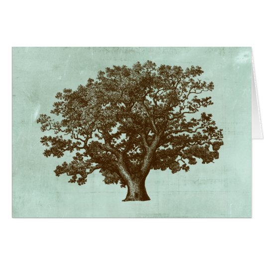 Spa Tree IV Cards (Front Horizontal)