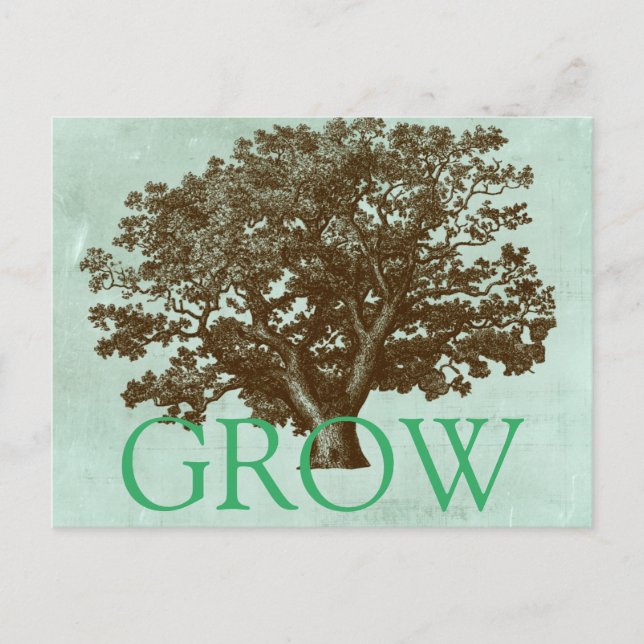 Spa Tree IV Postcard (Front)