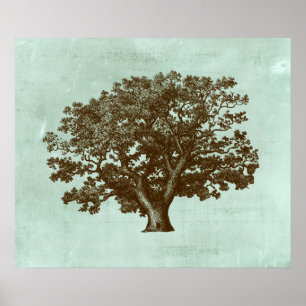 Spa Tree IV Poster