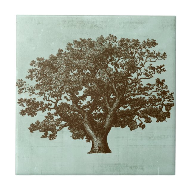 Spa Tree IV Tile (Front)