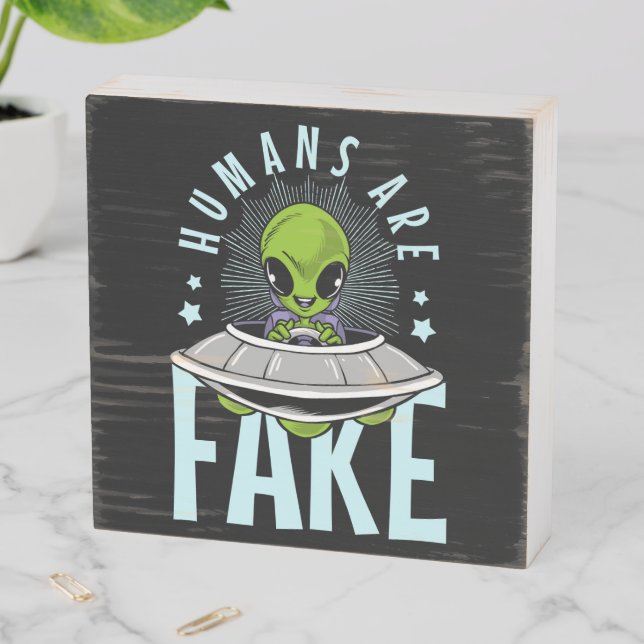 Space Alien Wood Box Sign (In Situ Horizontal)