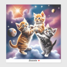 Space and a Cat