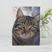 Space Cat (Standing Front)