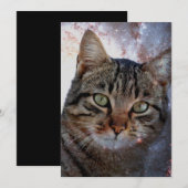 Space Cat (Front/Back)