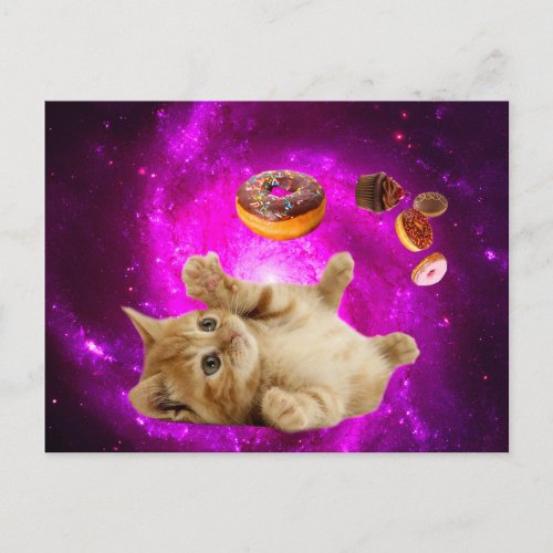 Space cat and the flying donuts postcard