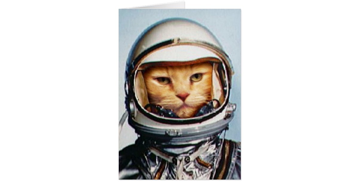 Space Cat Birthday Greeting Card | Zazzle