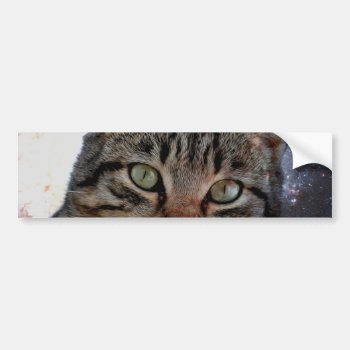 Space Cat Bumper Sticker by CustomizeYourWorld at Zazzle