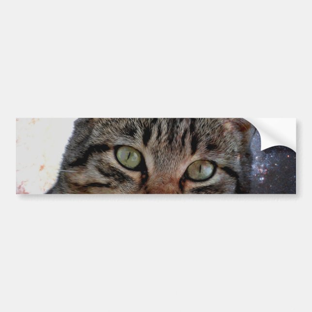 Space Cat Bumper Sticker (Front)