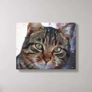 Space Cat Canvas Print