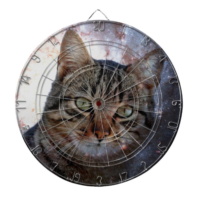 Space Cat Dart Board (Front)