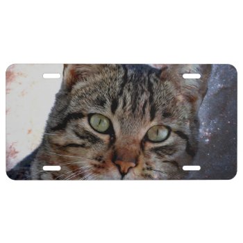 Space Cat License Plate by CustomizeYourWorld at Zazzle