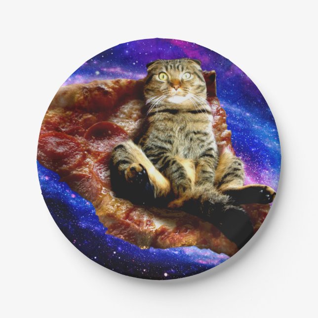 Space cat lying on a pizza paper plates (Front)