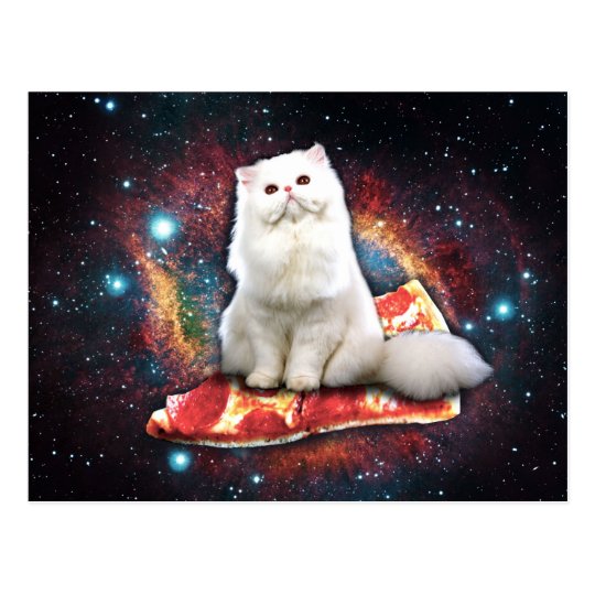 Space cat pizza postcard
