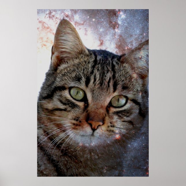 Space Cat Poster (Front)