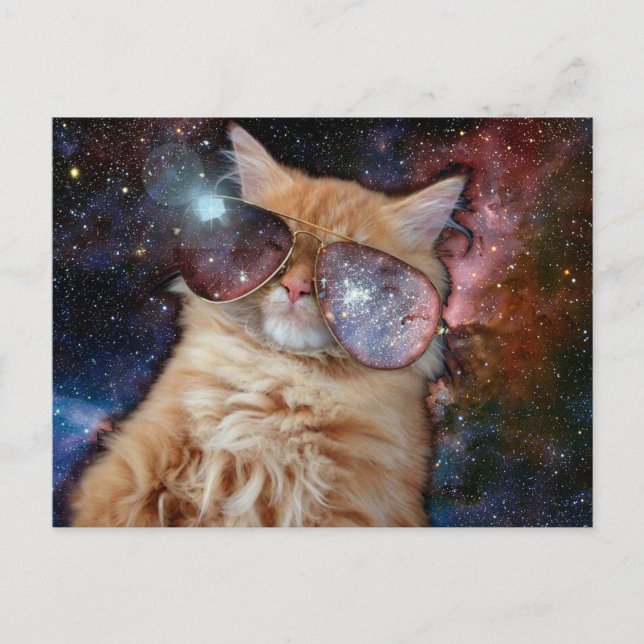 Space cat wearing sunglasses postcard (Front)