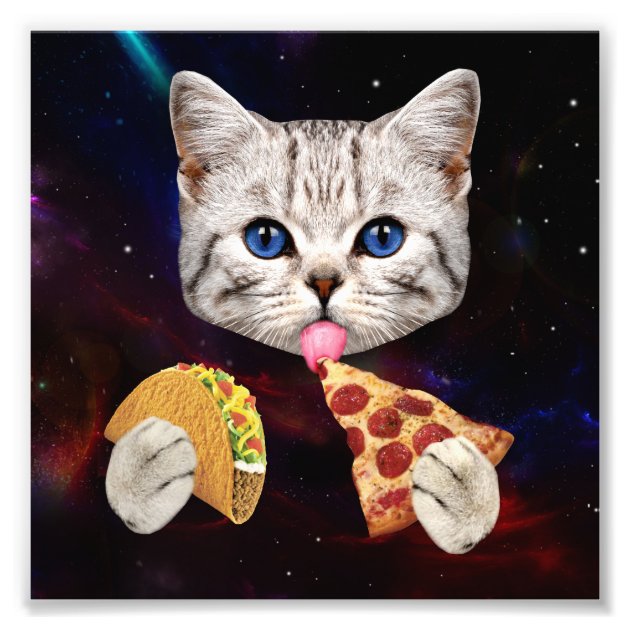 Space Cat with taco and pizza Photo Print Zazzle