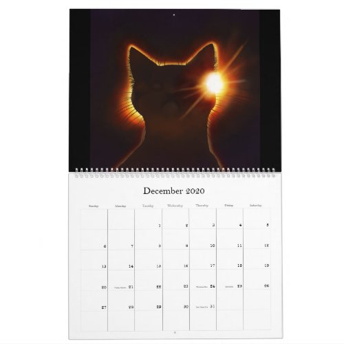 Space Cats Calendar