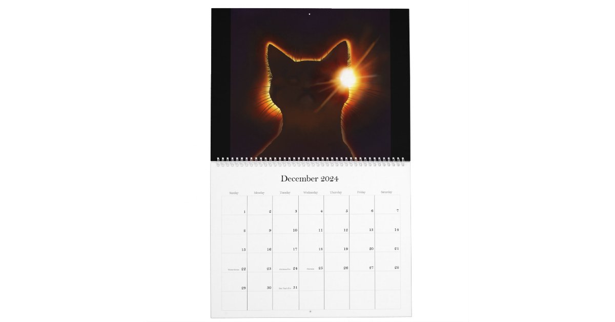 Space Cats Calendar Zazzle
