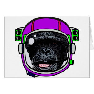 Space Chimp