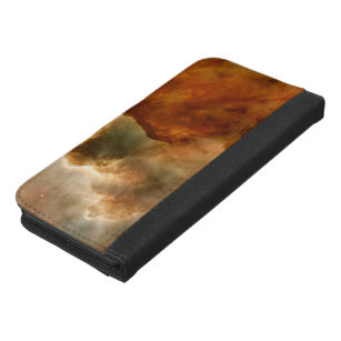 iphone 6 wallets coach