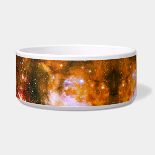 Space/galaxy  pet bowl