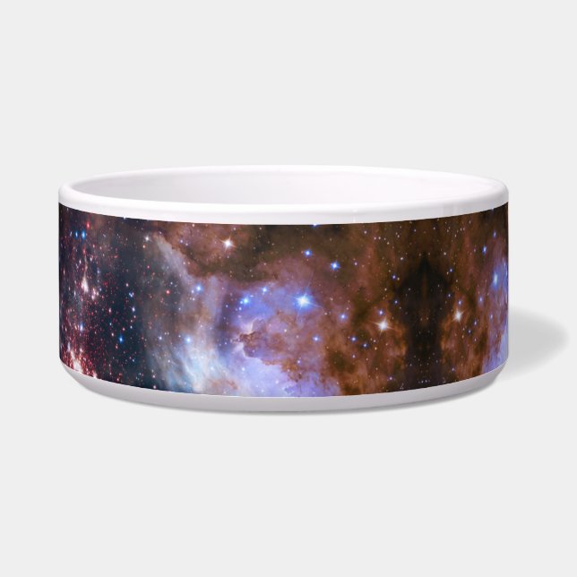 Space/galaxy pet  bowl (Right)