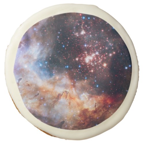 Spacegalaxy Sugar Cookie