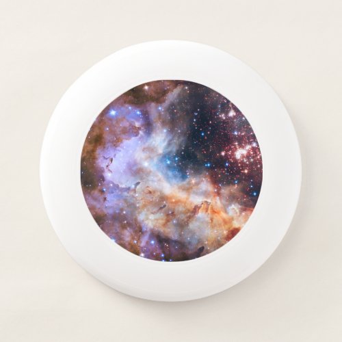 Spacegalaxy  Wham_O frisbee