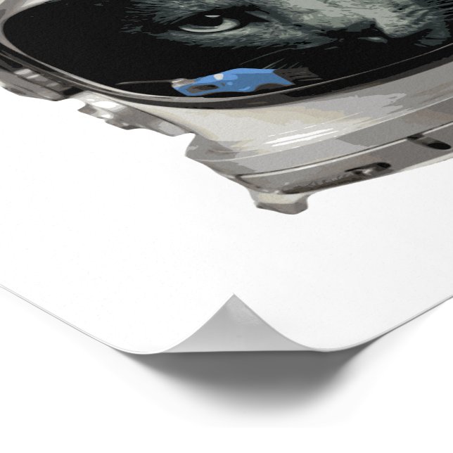 Space Helmet Astronaut Cat Poster