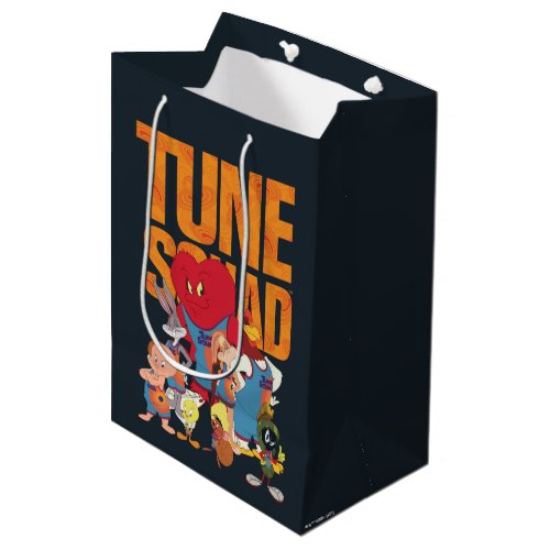 SPACE JAM A NEW LEGACY  TUNE SQUAD Lineup Medium Gift Bag