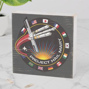 Space Mission Patch Wooden Box Sign