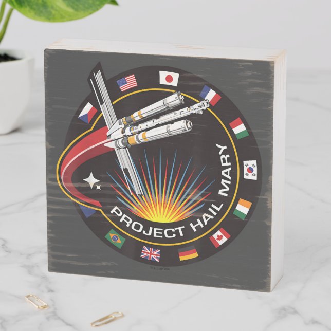 Space Mission Patch Wooden Box Sign (In Situ Horizontal)