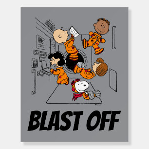 SPACE   Peanuts Gang in Space Foam Board