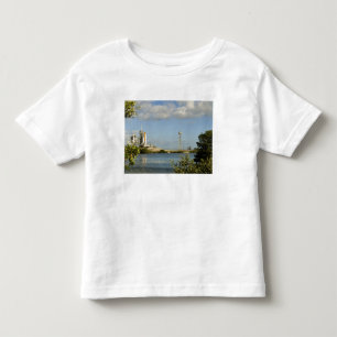 Space Shuttle Atlantis and Endeavour Toddler T-shirt