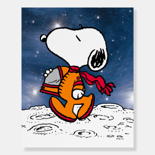 SPACE Snoopy Foam Board