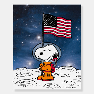 SPACE   Snoopy With Flag Astronaut Foam Board